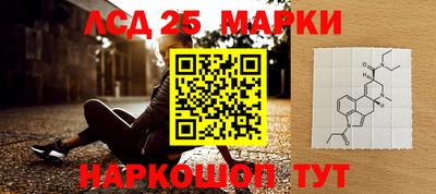 шишки Моздок